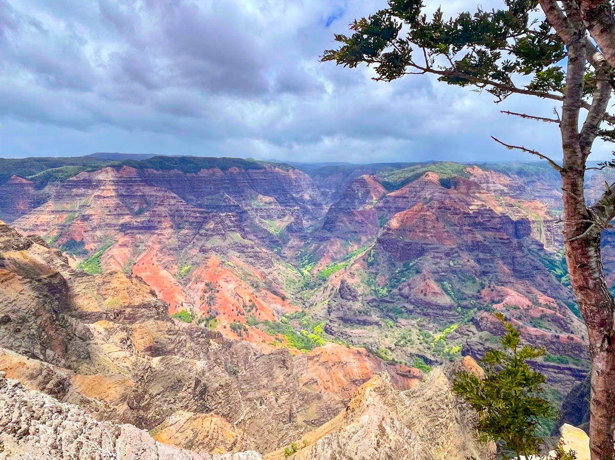 5 Best Lookouts: Waimea Canyon Lookout, Kalalau Lookout & More - Waimea ...